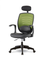 Стул ортопедический с поддержкой поясницы и подголовником DSP 2101C от компании "Кореал - Настоящая Корея" являющейся официальным дистрибьютором в России  Стул ортопедический с поддержкой поясницы и подголовником DSP 2101C от компании "Кореал - Настоящая Корея"