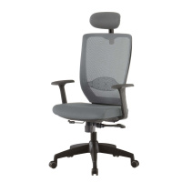 Стул ортопедический чёрно-серый ADAM 11166T  от компании "Кореал - Настоящая Корея" являющейся официальным дистрибьютором в России  Стул ортопедический чёрно-серый ADAM 11166T  от официального дистрибьютора "Кореал - Настоящая Корея"